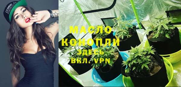 apvp Козельск