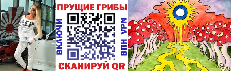 Галлюциногенные грибы MAGIC MUSHROOMS  магазин продажи наркотиков  Короча 